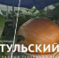 Садовод из Тулы вырастила тыкву весом более 200 килограммов - ТК Первый Тульский