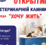 На Кубани открывается первая социальная ветеринарная клиника для бездомных животных - Город-герой Новороcсийск