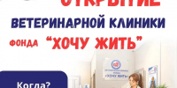 На Кубани открывается первая социальная ветеринарная клиника для бездомных животных - Город-герой Новороcсийск