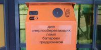 Оранжевый страж нашего парка - NgRegion.Ru
