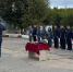 В ПВК ГУФСИН России по Пермскому краю отметили День Государственного флага России - УФСИН по Пермскому краю