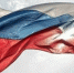День Государственного флага отметили в Озерске - OzerskNews.Com