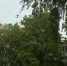 Похолодание до +4 градусов нагрянет в Татарстан вслед за дождями: погода недели - ТРК Татарстан-Новый век