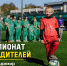 «Чемпионат победителей» возвращается во Владимир! - Министерство физкультуры и спорта