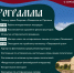 Праздник «Воевода Шуйский» объединил сотни людей у Покровской башни - Pln-Pskov.Ru