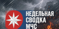 Оперативная сводка МЧС по Ростовской области: 6 погибших, 4 спасённых, сотни пожаров и ДТП за неделю - Ростов161