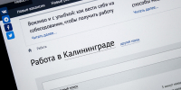 87 компаний вошли в реестр работодателей, заинтересованных в привлечении импатриантов - NewKaliningrad.Ru