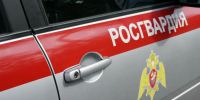 В Брянской области бойцы Росгвардии за неделю задержали 27 нарушителей - Газета Брянские новости