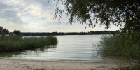 В Самарской области ожидается похолодание до +16 °C к концу недели - Площадь Свободы