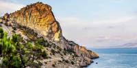 Ученый предсказал появление акул в Черном море - MosRegToday.Ru