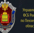 уфс - Газета Сурские просторы