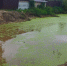 В деревне Савино благоустроили  пожарный водоем - Калининский район