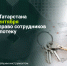 ИТ-компании Татарстана могут до 20 сентября подтвердить право сотрудников на льготную ипотеку - Министерство ИТ и связи