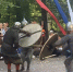 Славянские витязи победили в эпическом столкновение культур - Калужская неделя