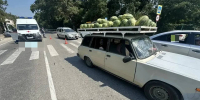 В геленджикском селе под колеса автомобиля попал мужчина - Югополис