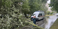 Новгородские спасатели и коммунальщики ликвидировали последствия непогоды, освободив дороги от поваленных деревьев - Газета Новгород