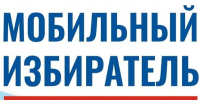 Голосование по месту нахождения. - Онежский муниципальный округ