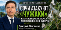 Сочи атакуют «чужаки»: почему опасные виды насекомых всё легче приживаются на юге России - SochiStream.Ru