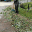 Последствия непогоды в Пыталовском районе - InformPskov.Ru