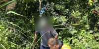 Мужчина сутки плутал в лесу у Силикатных озер: на помощь пришли спасатели - Gorod48.ru