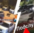 Мишка бегал по Ярославлю | Источник: Подслушано в Ярославле! (18+) / Telegram - 76.Ru