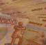 Жители Заполярья потратили более 195 миллионов на ветеринарные услуги - SeverPost.ru