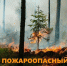 Ограничения пребывания граждан в лесах продолжают действовать - Министерство природных ресурсов