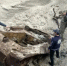 Редкий немецкий танк времен ВОВ нашли на Балтийской косе - Газета Краснодарские известия