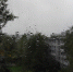© Фото из архива интернет-портала «Новгород.ру» - Novgorod.Ru
