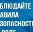 Правила поведения на воде. - Администрация города Яровое