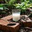 1 кирпич и стакан кефира - слизни сами полезут в капкан: хитрейшая ловушка от деда Федора - Pro Город Ухта