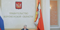 Александр Гусев: Денежные выплаты взамен земельных участков должны быть проиндексированы - Правительство Воронежской области