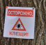 Фото: ПАИ - InformPskov.Ru