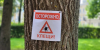 Фото: ПАИ - InformPskov.Ru