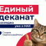 Единый деканат Колледжа теперь в МАХ! - Технологический университет