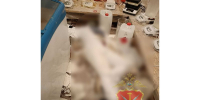 Тульские полицейские накрыли нарколабораторию с двумя трупами внутри - Молодой коммунар