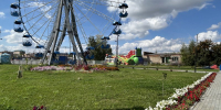 Забавное видео о троицком парке - Газета Регион