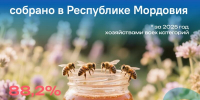 В прошлом году в Мордовии было собрано 399 тонн меда - Столица С