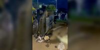 Легковой автомобиль врезался в остановку в Нижнем Новгороде - M24.Ru