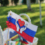 Флаг России – гордость и ответственность граждан державы - Газета Восход