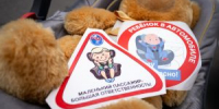 Профилактическое мероприятие «Детское кресло»: Госавтоинспекция напоминает о безопасности маленьких пассажиров - Администрация г. Лыткарино