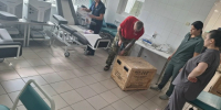 Брянской областной станции переливания крови поставили новое оснащение - ИА Наш Брянск.ru