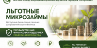 Государственная поддержка предпринимательства – основа устойчивого экономического развития региона: предприниматели Республики могут получить льготные микрозаймы на развитие - Минприроды ЛНР