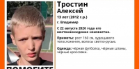 Во Владимирской области 13-летний мальчик ушел из дома и не вернулся - Progorod33.Ru