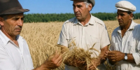 След в людских сердцах - Дагестанская правда