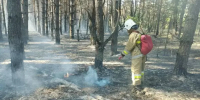 На минувших выходных в Ростовской области потушили два крупных ландшафтных пожара - DonDay.Ru