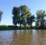 20260807_175030 - Сетевое издание Арбуз
