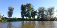 20260807_175030 - Сетевое издание Арбуз