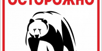 Осторожно: медведи тоже любят ягоды и грибы - Мирнинский район