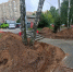 СУРОВОЕ МЫТИЩИНСКОЕ БЛАГОУСТРОЙСТВО - КАК ОНО ВЫГЛЯДИТ? - Экооборона Московской области